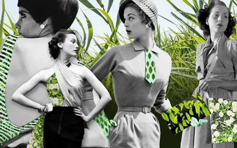 Luxury Fashion Today: Where Timeless Elegance Meets Modern Living